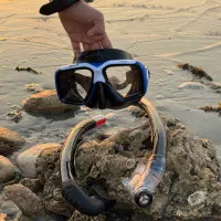 اسنورکل غواصی با سوپاپ و بی سوپاپ|غواصی و ورزش‌های آبی|بوشهر, |دیوار