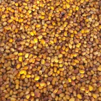 رطب زاهدی|خوردنی و آشامیدنی|فراشبند, |دیوار