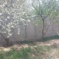 1000 متر زمین به همراه ۲۵ متر بنای قدیمی مهرچین|فروش زمین و ملک کلنگی|تهران, قزل قلعه|دیوار