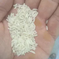برنج شمالی هاشمی اعلا فروش ویژه|خوردنی و آشامیدنی|اصفهان, احمدآباد|دیوار