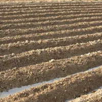 زمین کشاورزی