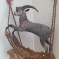 مجسمه خاص|مجسمه، تندیس، ماکت|سبزوار, ولیعصر (نجار آباد)|دیوار