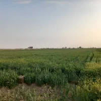 قرچک-صالحاباد-زمین-کشاورزی-با-مجوزگلخانه27-396متر