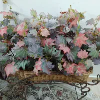 گل کنارسالنی خارجی|گل مصنوعی|کرج, برغان|دیوار