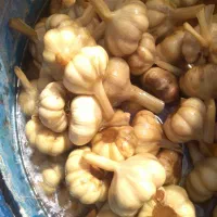 گل سیر|خوردنی و آشامیدنی|رودبار, |دیوار