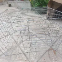 جفت کن کبوتر