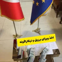 ویزای شینگن، انگلیس،برزیل