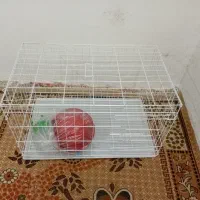 قفس جفتگاه کبوتر