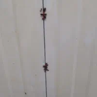 حذف تضمینی سوسک و مورچه بدون سمپاشی با مواد گیاهی|خدمات نظافت|ارومیه, |دیوار