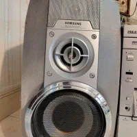 ضبط خانگی