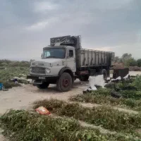 بنز تک باری