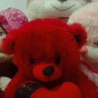 کیف مدارس و عروسک و گیتار|گیتار، بیس، امپلیفایر|بندر انزلی, جفرود پایین|دیوار