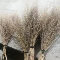 جارو رسیده وخشک|لوازم نظافت|نورآباد, |دیوار