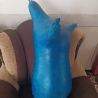 پوست نی انبان درجه یک