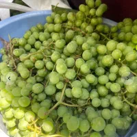 غوره