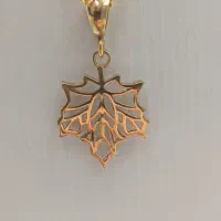 پلاک طلا|جواهرات|پردیس, فاز ۱|دیوار