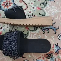 دمپایی مجلسی