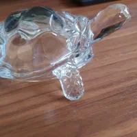 لاکپشت شیشه ای