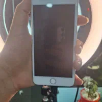 گوشی 8 plus سفید 64 گیگ|موبایل|شیرگاه, |دیوار