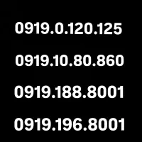 0919.188.8001 سیمکارت اعتباری