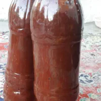 رب خانگی