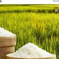 فرو ش برنج شمیم نورا‌باد