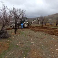 نگهبان شبانه روزی