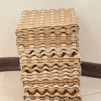 شانه تخم مرغ