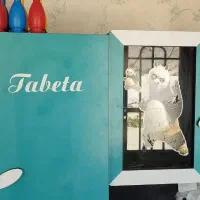 کمد لباس بچه|تخت و سرویس خواب|مشهد, صیاد شیرازی|دیوار