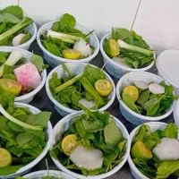 غذا نهار و شام|خدمات پذیرایی، مراسم|زابل, |دیوار