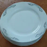 ظروف چینی