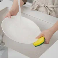 استخدام ظرفشور