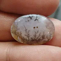 نگین عقیق شجر قاین تکی فقط دونه پونصد هزار