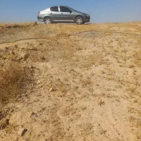 زمین با آب سد ایدغموش که امسال کاشته شده|فروش زمین و ملک کلنگی|میانه, |دیوار