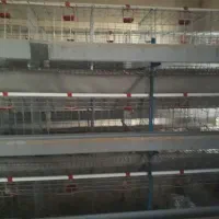 قفس مرغ تخمگذار