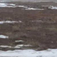 زمین به متراژ ۵۴۰ متر در الوار