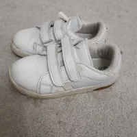 کفش ونس دو چسب