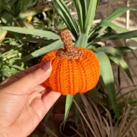 کدو گوشواره، بلوط و،برگ های بافتنی پاییز و یلدا|صنایع دستی و سایر لوازم تزئینی|اسلامشهر, شهرک لاله|دیوار