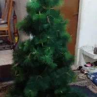 درخت کریسمس