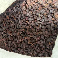 کشمش آفتابی بدون تیزاب