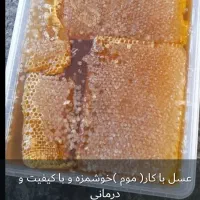 عسل سرحد سوزمیر کیفیت تضمینی