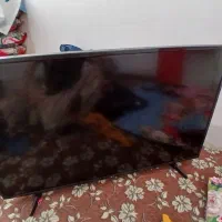 تلوزیون ال جی|تلویزیون و پروژکتور|یزد, |دیوار