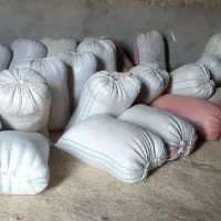 کاه گندم ریز تمیز