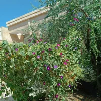 اجاره کوتاه مدت خانه ویلایی  برای زوار و مراسمات