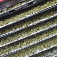 سبزی قرمه سبزی سرخ شده خشک شده|خوردنی و آشامیدنی|تربت جام, تیپ ۳۸ زرهی تربت جام|دیوار