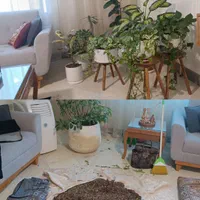 ویزیت گل و گیاه،نگهداری دوره ای،تعویض خاک گلدان