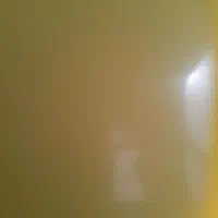 گم شده