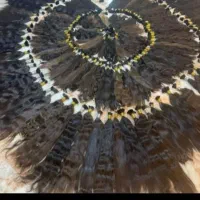 خریدار موهای طبیعی و رنگی بدون واسطه