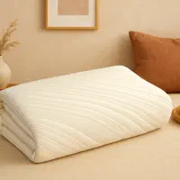 محافظ تشک هتلی ضدآب/مناسب هتل و اقامتگاه‌ ها/مشهد