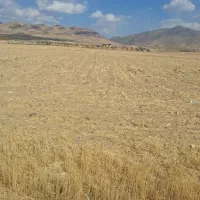 زمین کشاورزی مناسب برای ایجاد باغ|فروش دفتر صنعتی، کشاورزی، تجاری|قره پشتلو, |دیوار